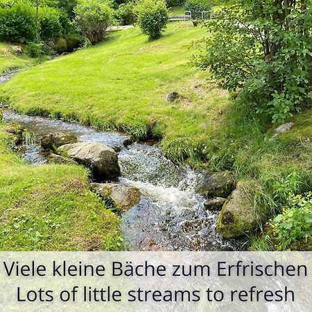 Auszeit Apartment Black Forest Schonach im Schwarzwald Exteriör bild