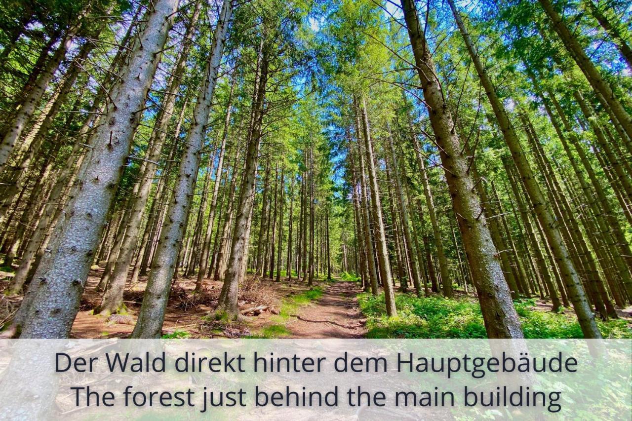 Auszeit Apartment Black Forest Schonach im Schwarzwald Exteriör bild