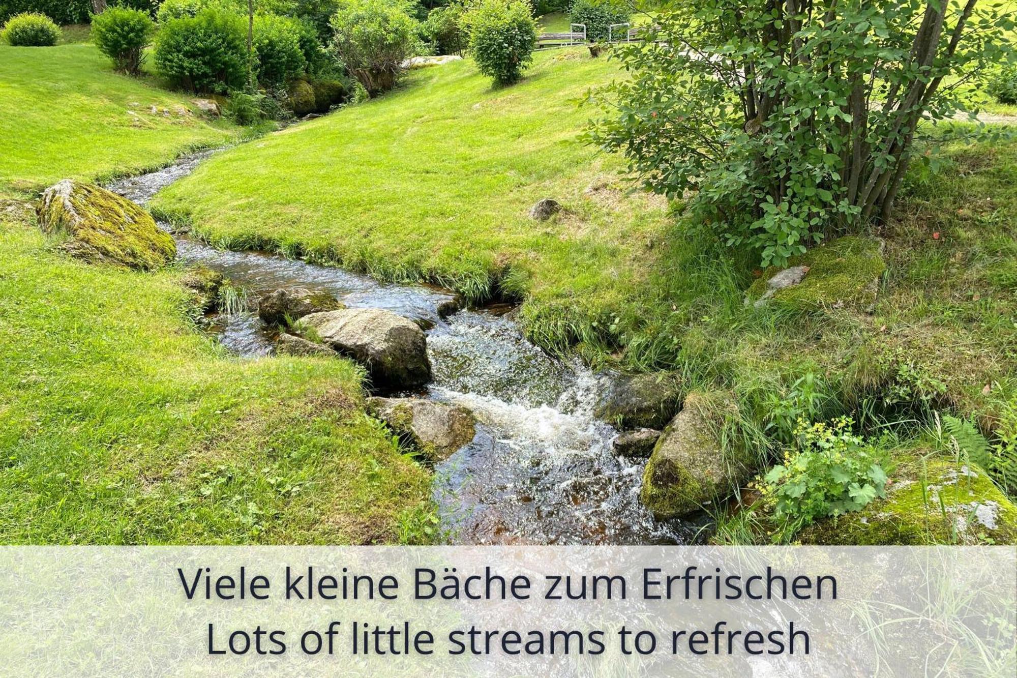 Auszeit Apartment Black Forest Schonach im Schwarzwald Exteriör bild