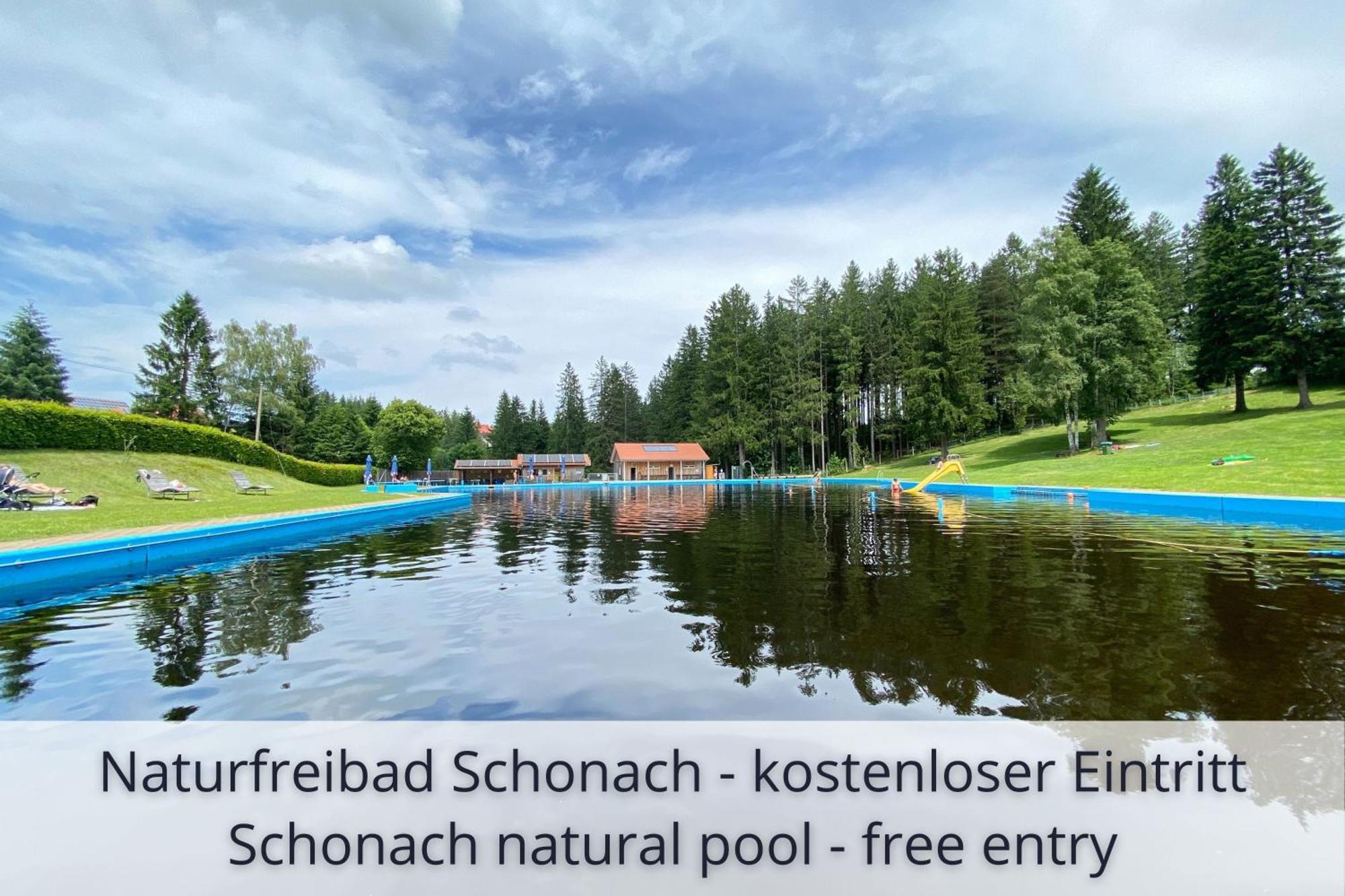 Auszeit Apartment Black Forest Schonach im Schwarzwald Exteriör bild