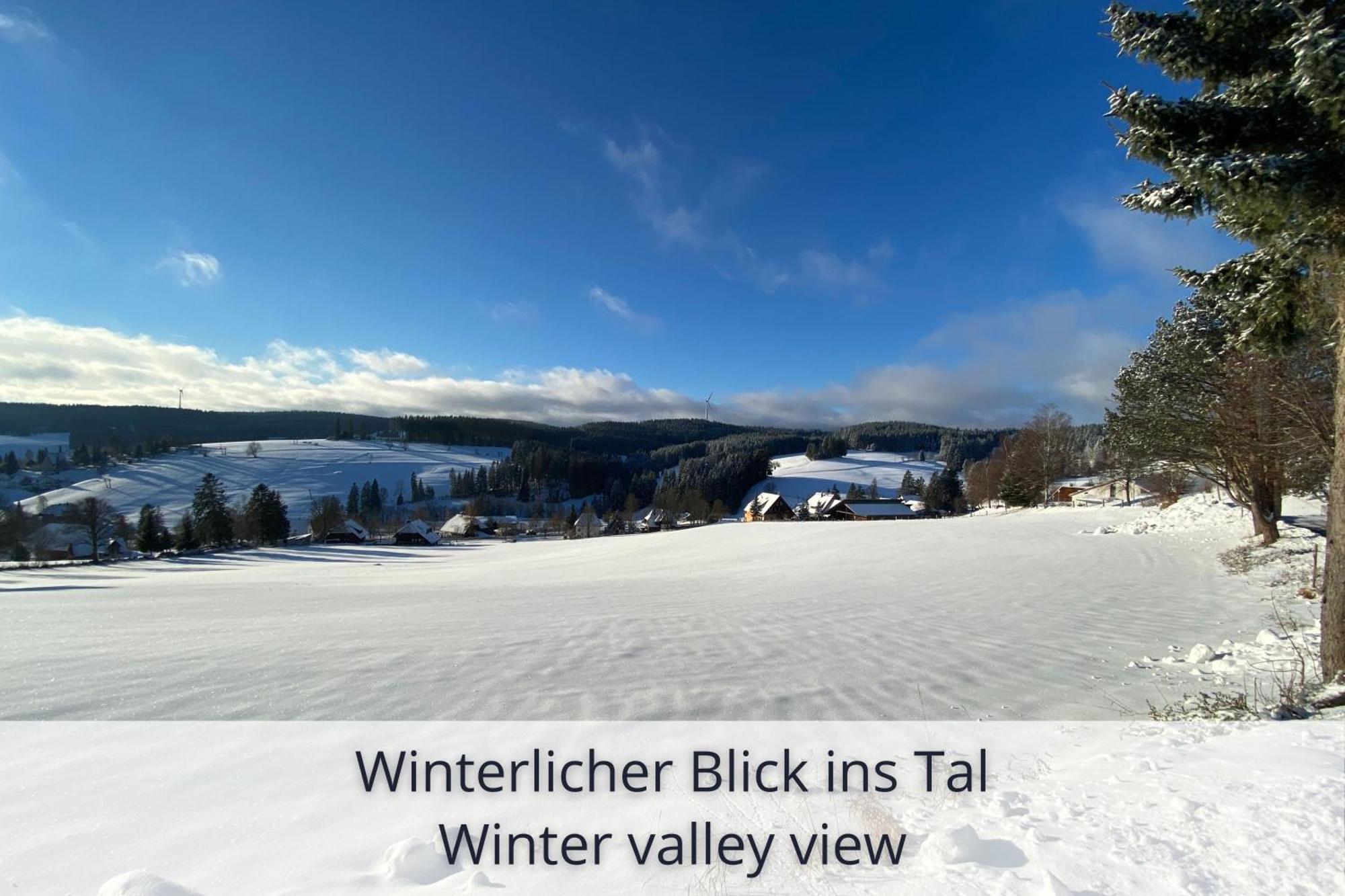 Auszeit Apartment Black Forest Schonach im Schwarzwald Exteriör bild