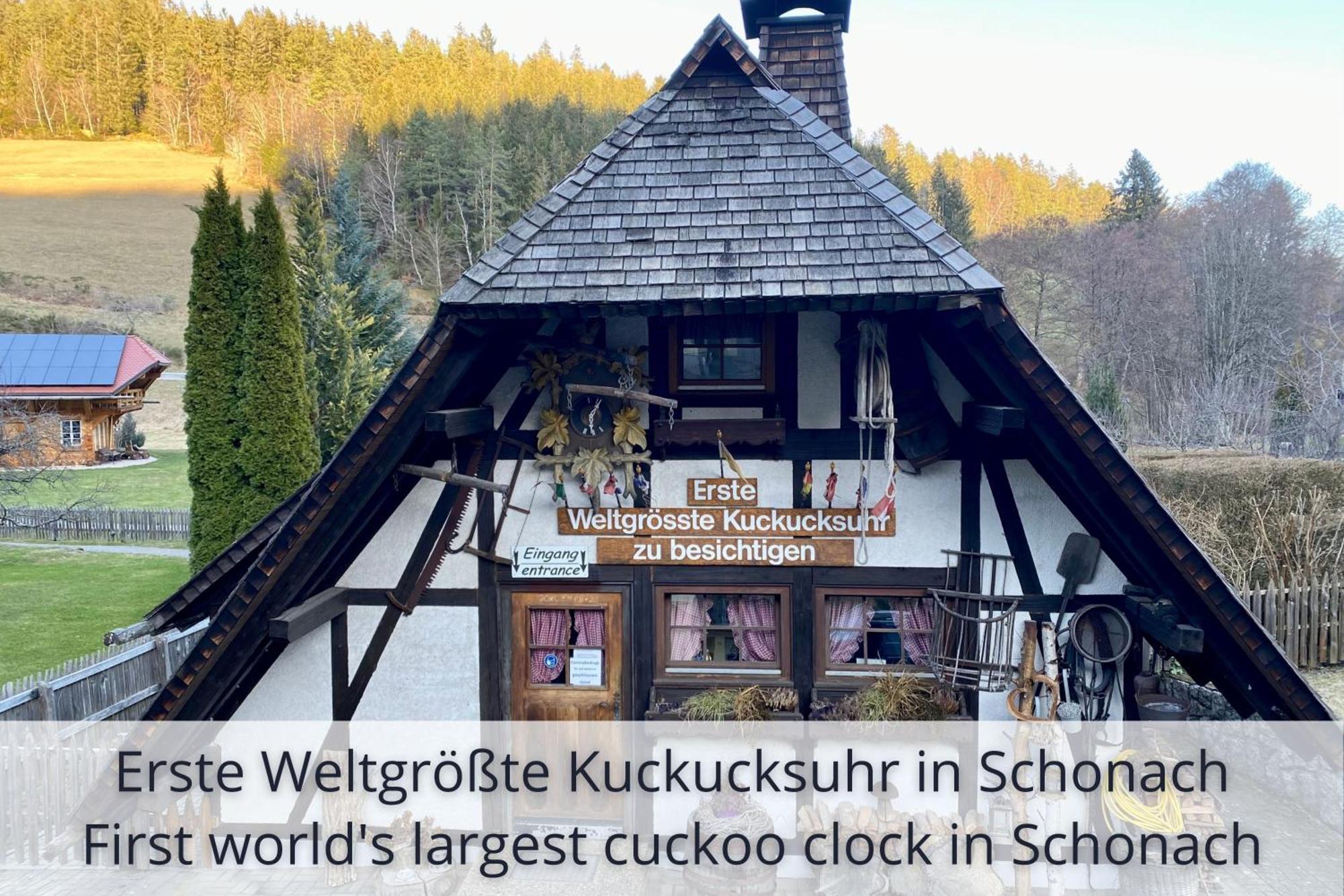 Auszeit Apartment Black Forest Schonach im Schwarzwald Exteriör bild